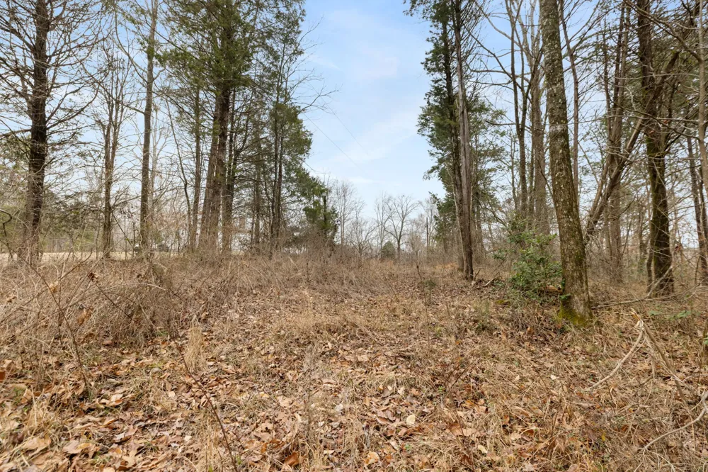 0 Griffintown Road White Bluff, TN 37187