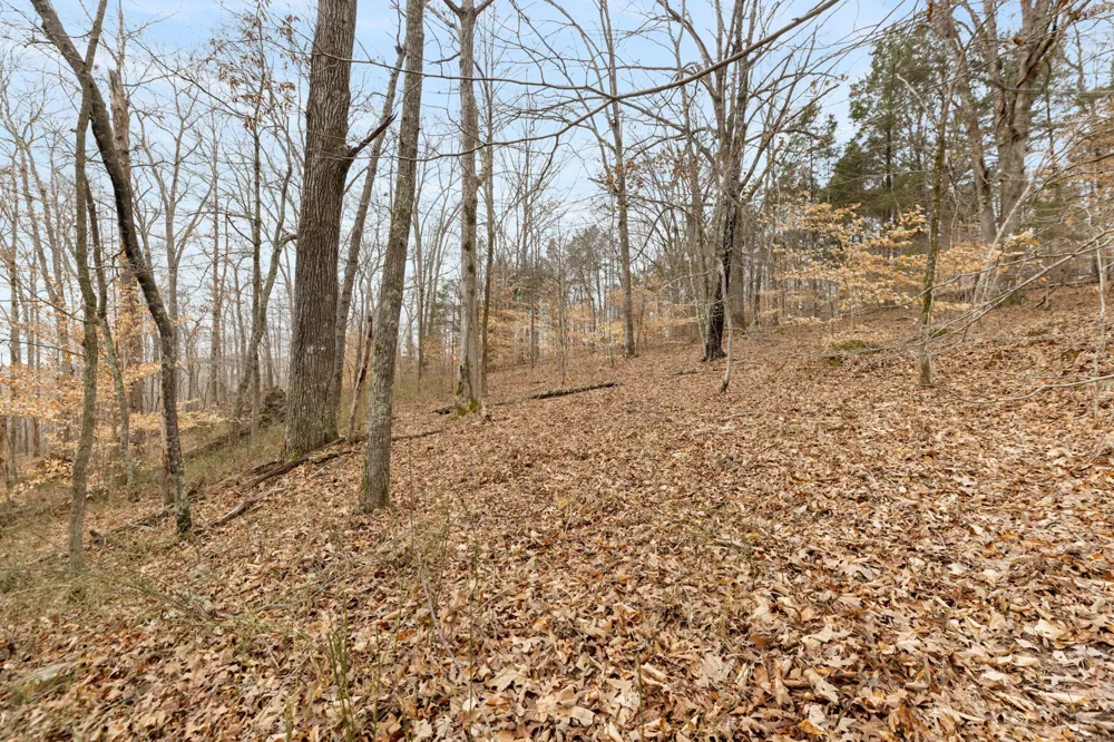 0 Griffintown Road White Bluff, TN 37187