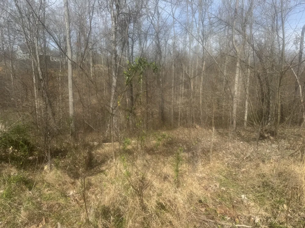 0 Ridgeway Drive Smithville, TN 37166