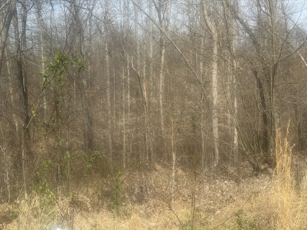 0 Ridgeway Drive Smithville, TN 37166
