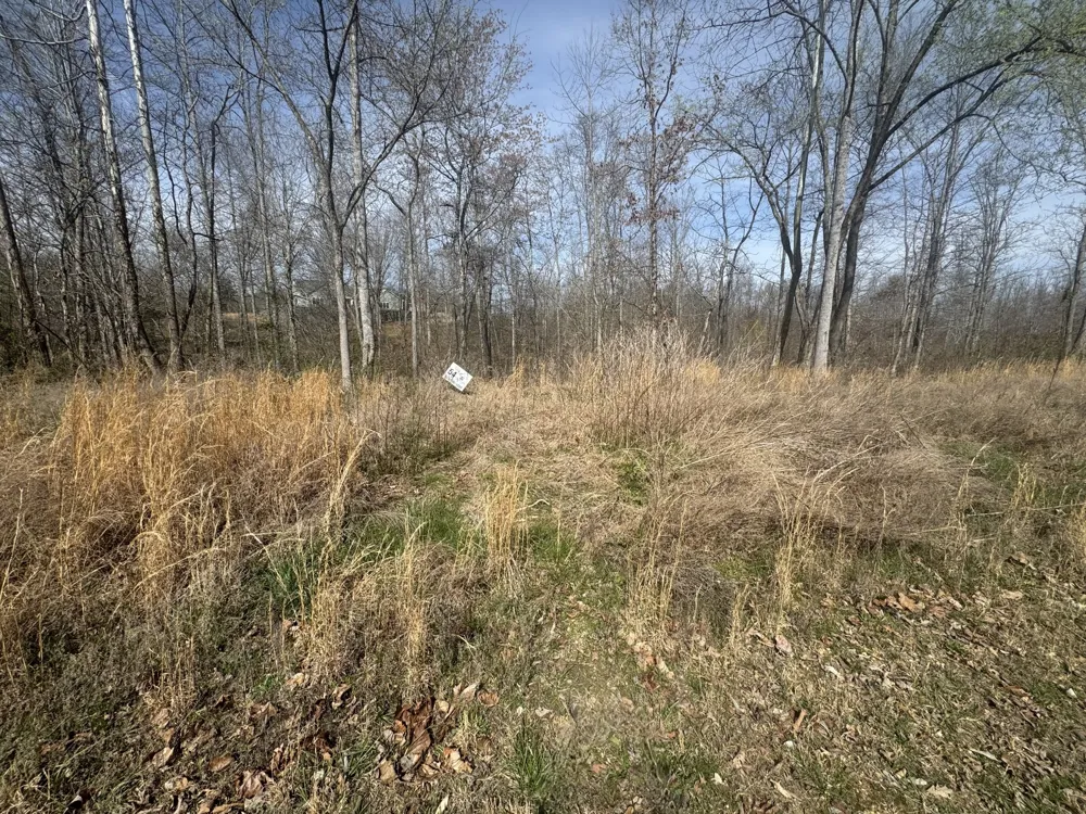 0 Ridgeway Drive Smithville, TN 37166