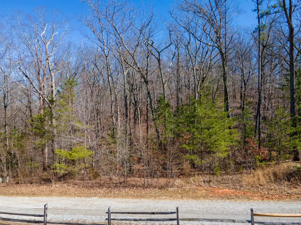 0 Valley Rim Drive Chickamauga, GA 30707