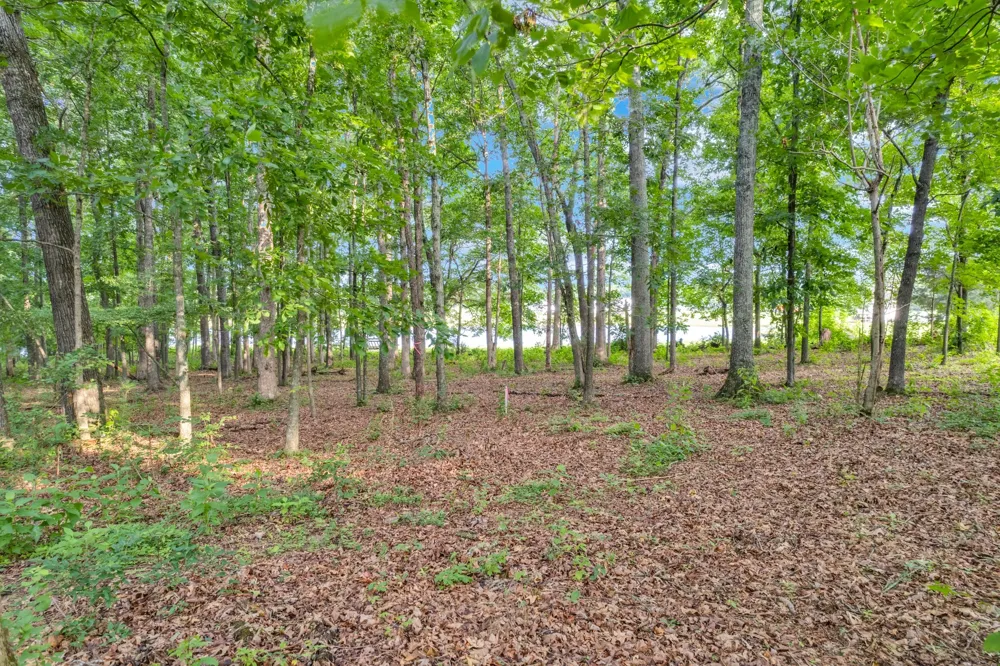 0 Starlight Rd McMinnville, TN 37110