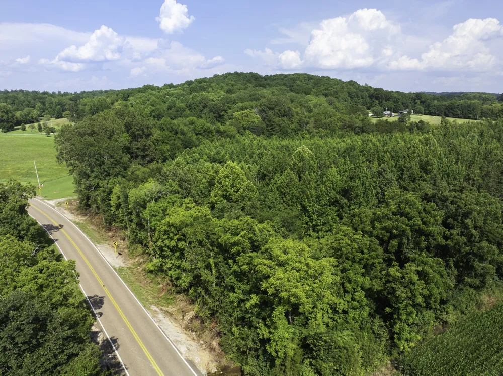 0 Highway 100 E Decaturville, TN 38329