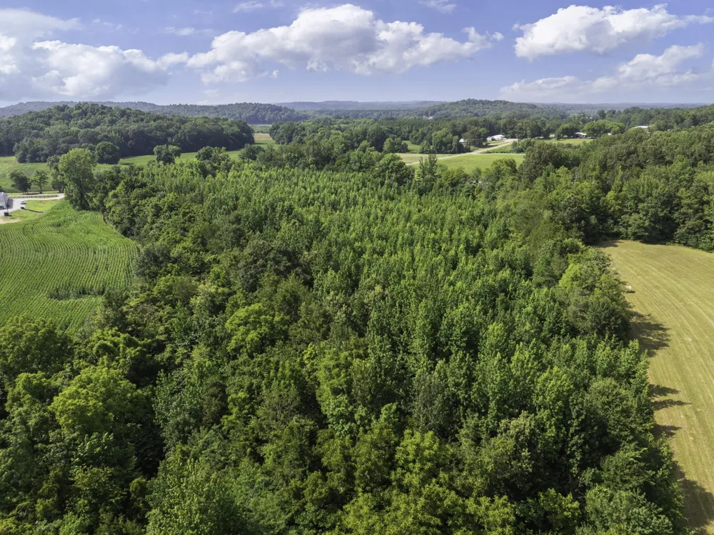 0 Highway 100 E Decaturville, TN 38329