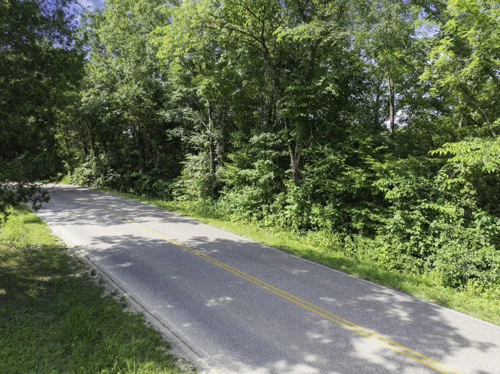 0 Highway 100 E Decaturville, TN 38329