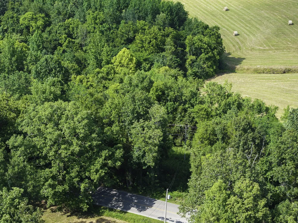 0 Highway 100 E Decaturville, TN 38329