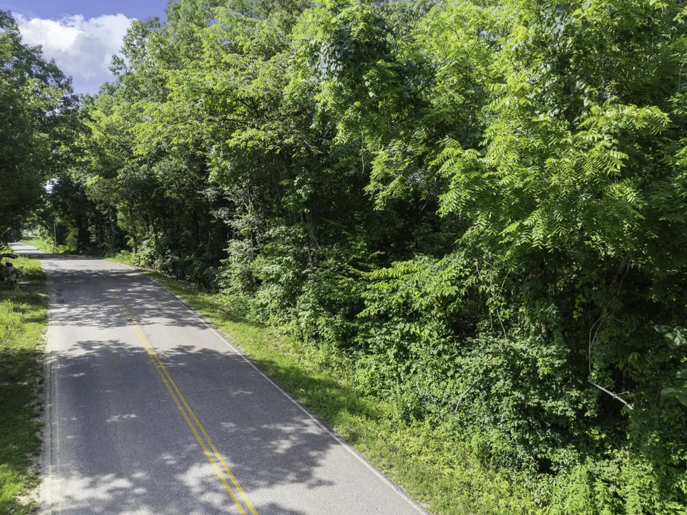 0 Highway 100 E Decaturville, TN 38329