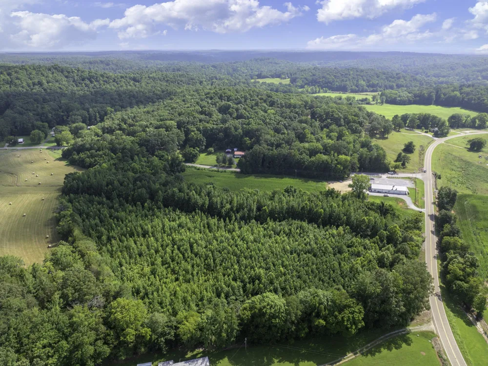 0 Highway 100 E Decaturville, TN 38329
