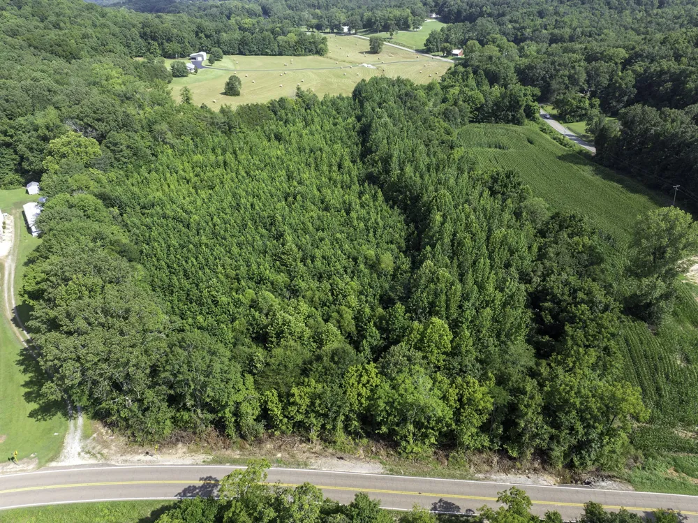 0 Highway 100 E Decaturville, TN 38329