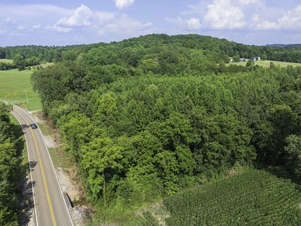 0 Highway 100 E Decaturville, TN 38329