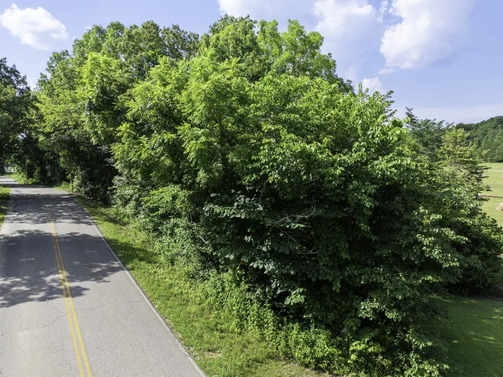 0 Highway 100 E Decaturville, TN 38329