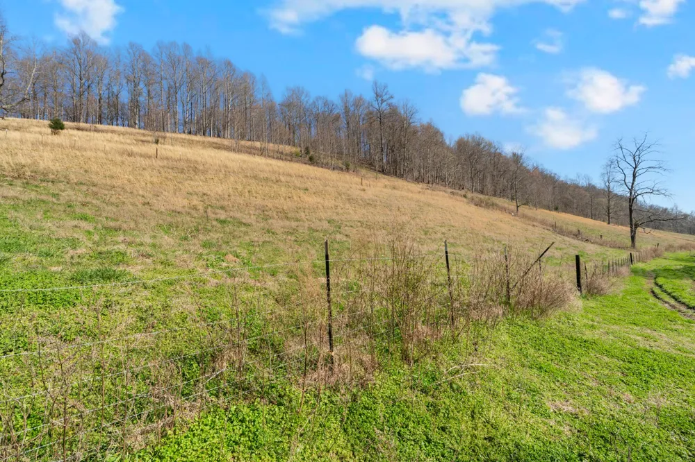 546 Womack Hollow Rd Liberty, TN 37095