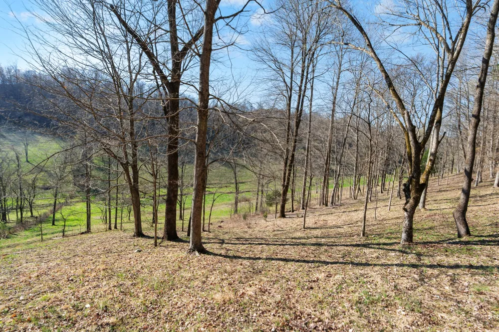 546 Womack Hollow Rd Liberty, TN 37095