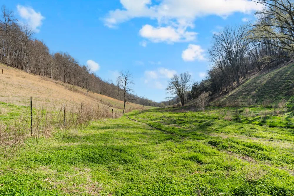 546 Womack Hollow Rd Liberty, TN 37095