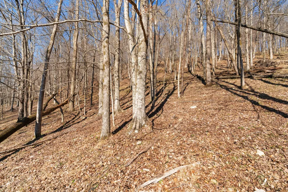 546 Womack Hollow Rd Liberty, TN 37095