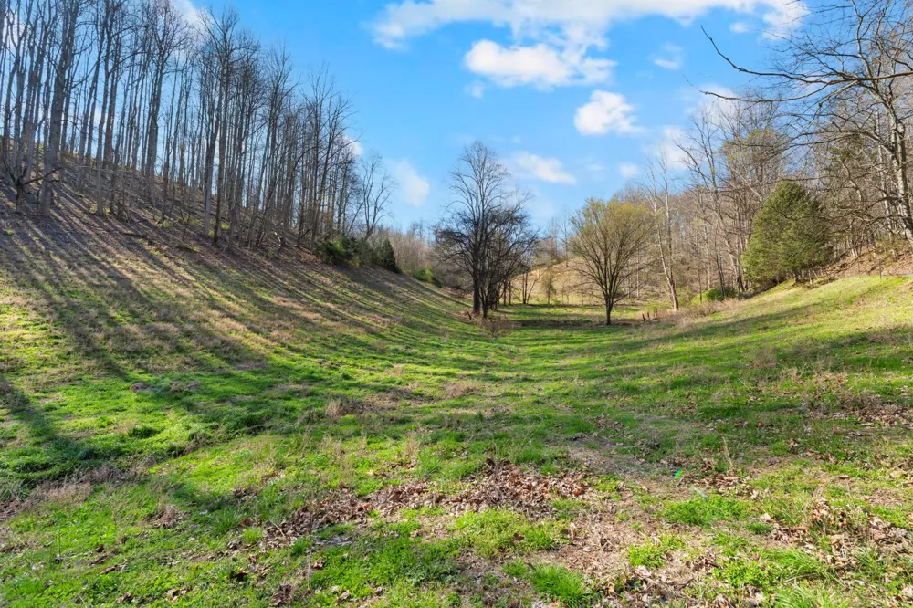 546 Womack Hollow Rd Liberty, TN 37095