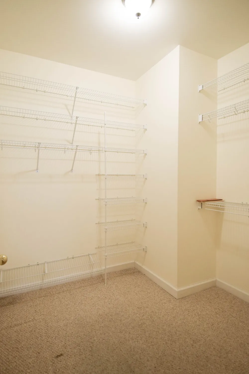 441 Brady Ln Gallatin, TN 37066