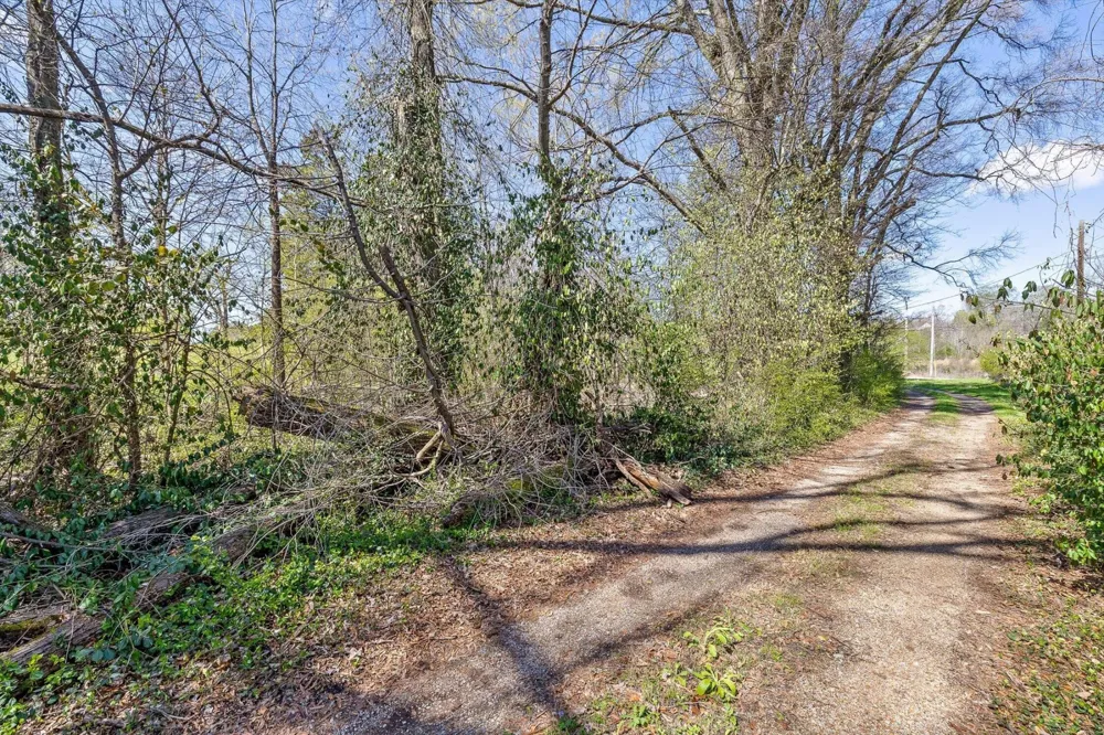 4971 Lillie Lane Ooltewah, TN 37363