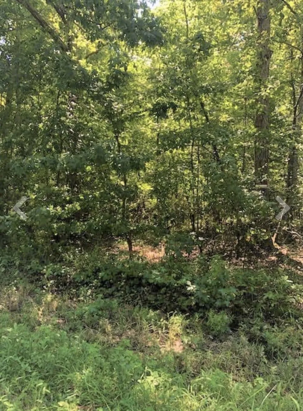 0 Sunset Drive Manchester, TN 37355