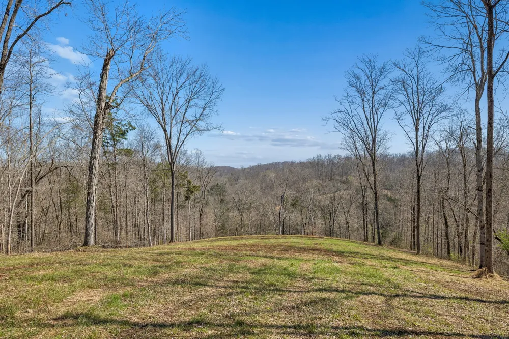 6012 Russell Ridge Lane Franklin, TN 37064