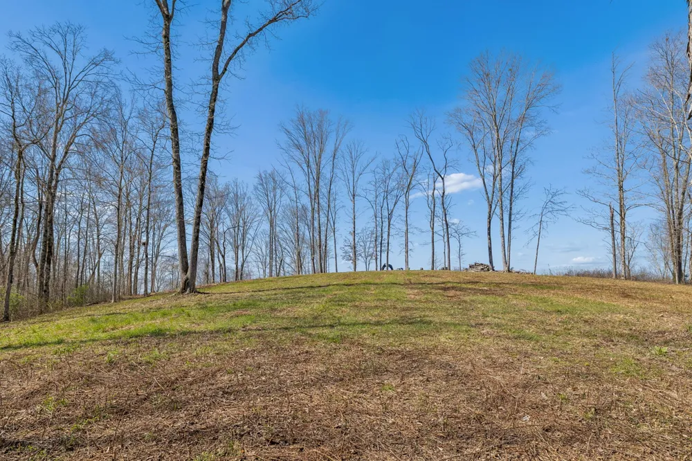 6012 Russell Ridge Lane Franklin, TN 37064