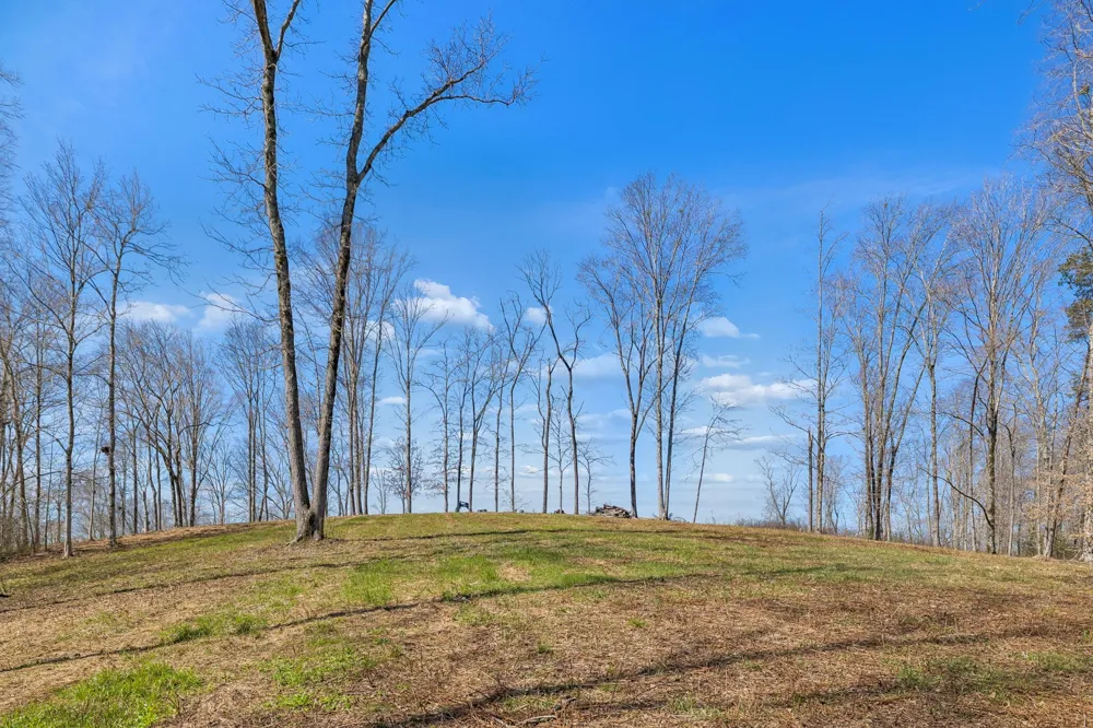 6012 Russell Ridge Lane Franklin, TN 37064