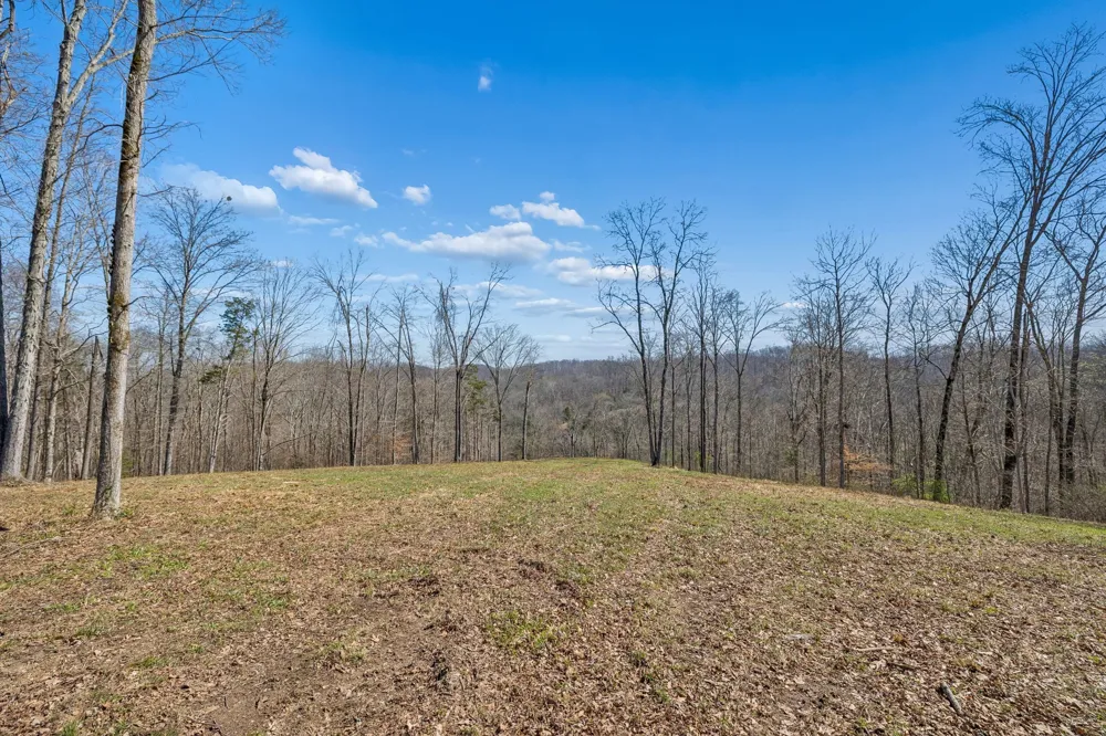 6012 Russell Ridge Lane Franklin, TN 37064