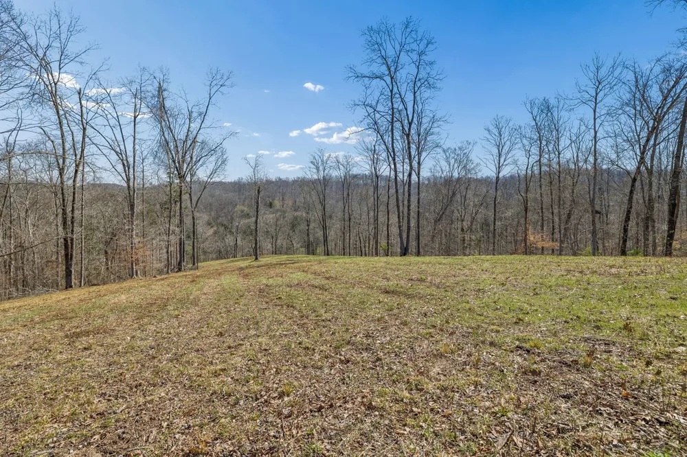 6012 Russell Ridge Lane Franklin, TN 37064