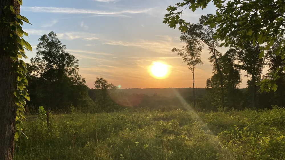 6012 Russell Ridge Lane Franklin, TN 37064