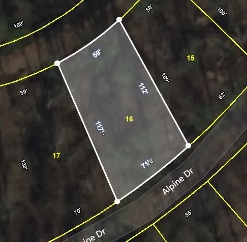 0 Alpine Drive Smithville, TN 37166