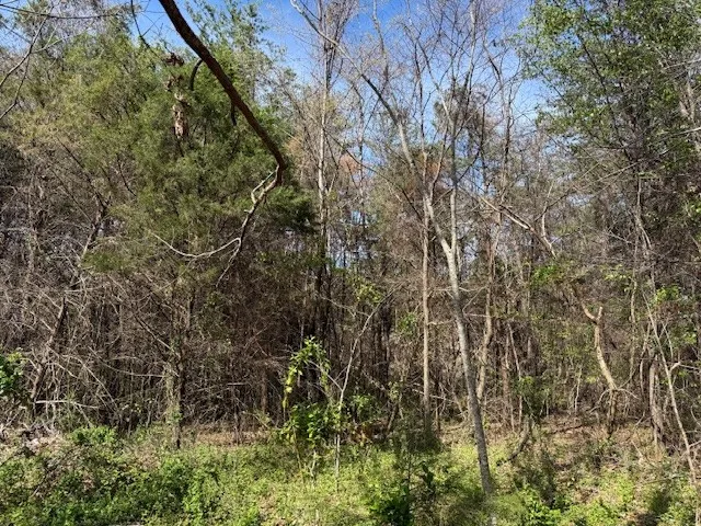 0 Shellsford Rd Mc Minnville, TN 37110
