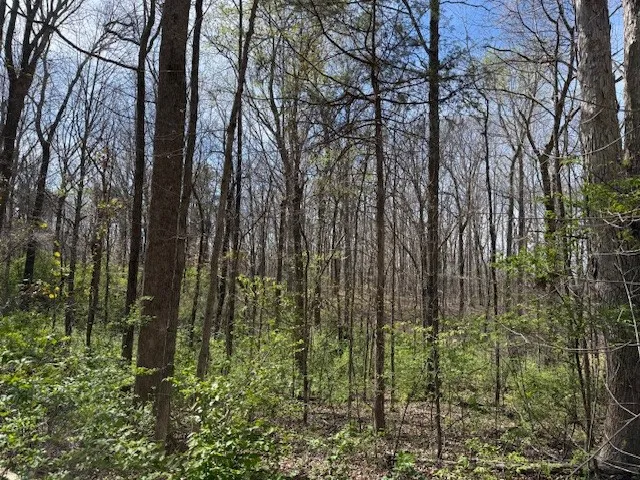 0 Shellsford Rd Mc Minnville, TN 37110