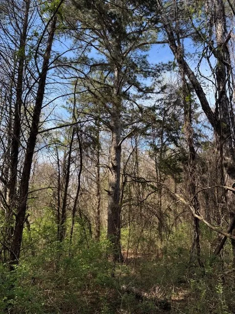 0 Shellsford Rd Mc Minnville, TN 37110