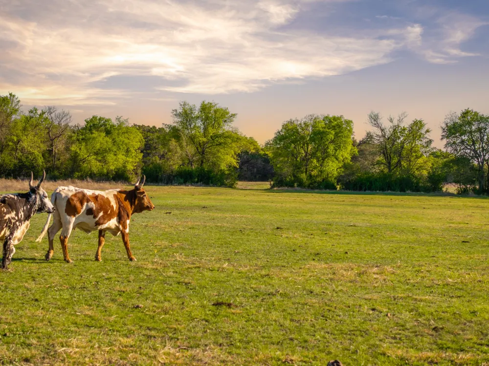 6234 S Fm 1174 Bertram, TX 78605