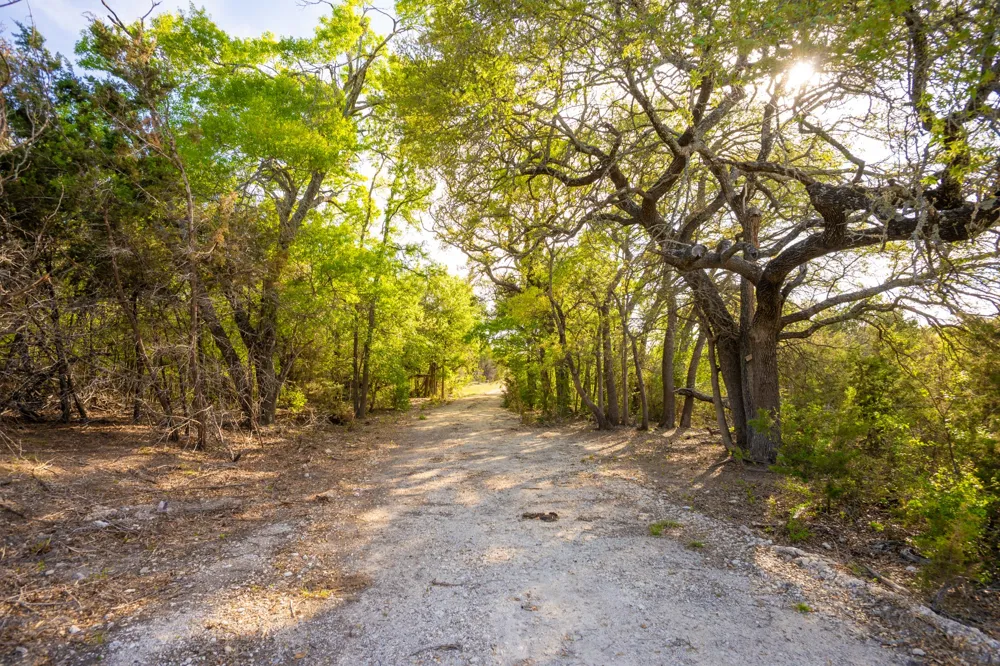6234 S Fm 1174 Bertram, TX 78605
