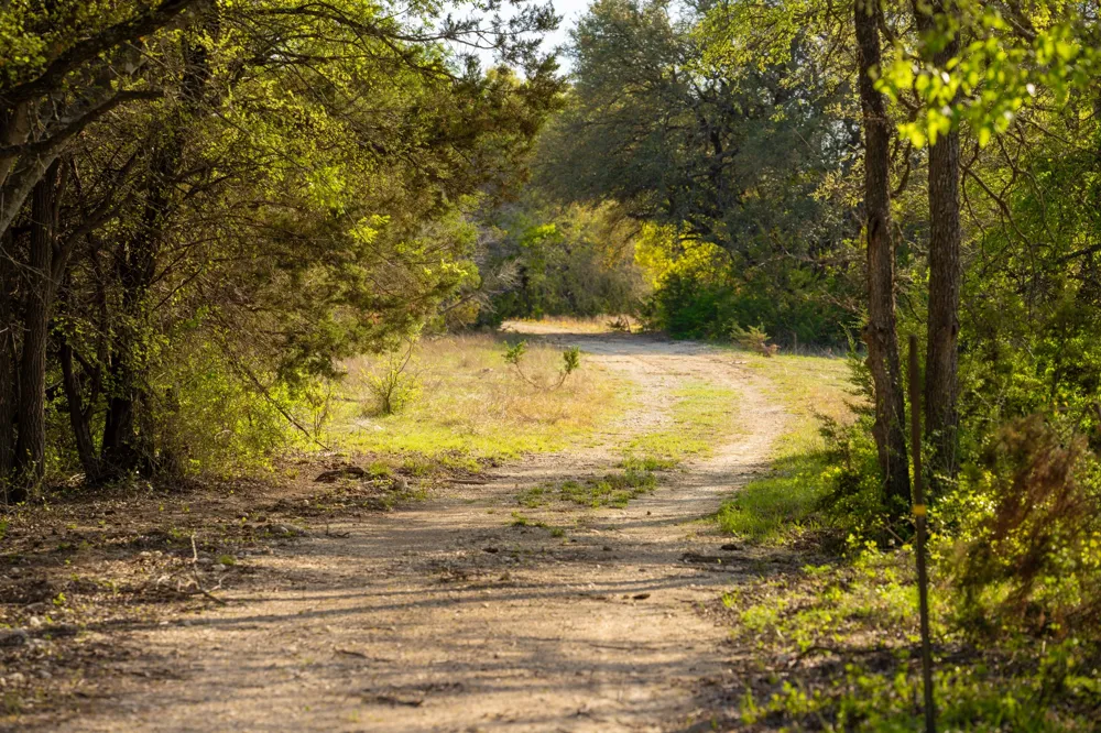 6234 S Fm 1174 Bertram, TX 78605