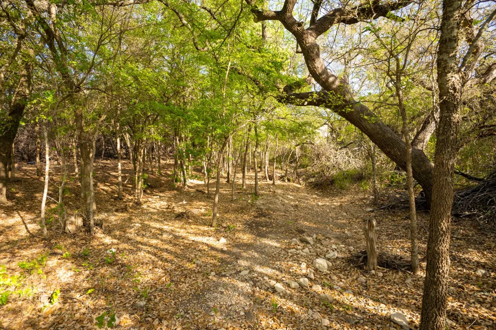 6234 S Fm 1174 Bertram, TX 78605
