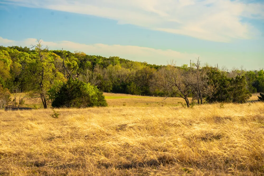 6234 S Fm 1174 Bertram, TX 78605