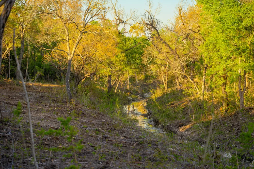 6234 S Fm 1174 Bertram, TX 78605