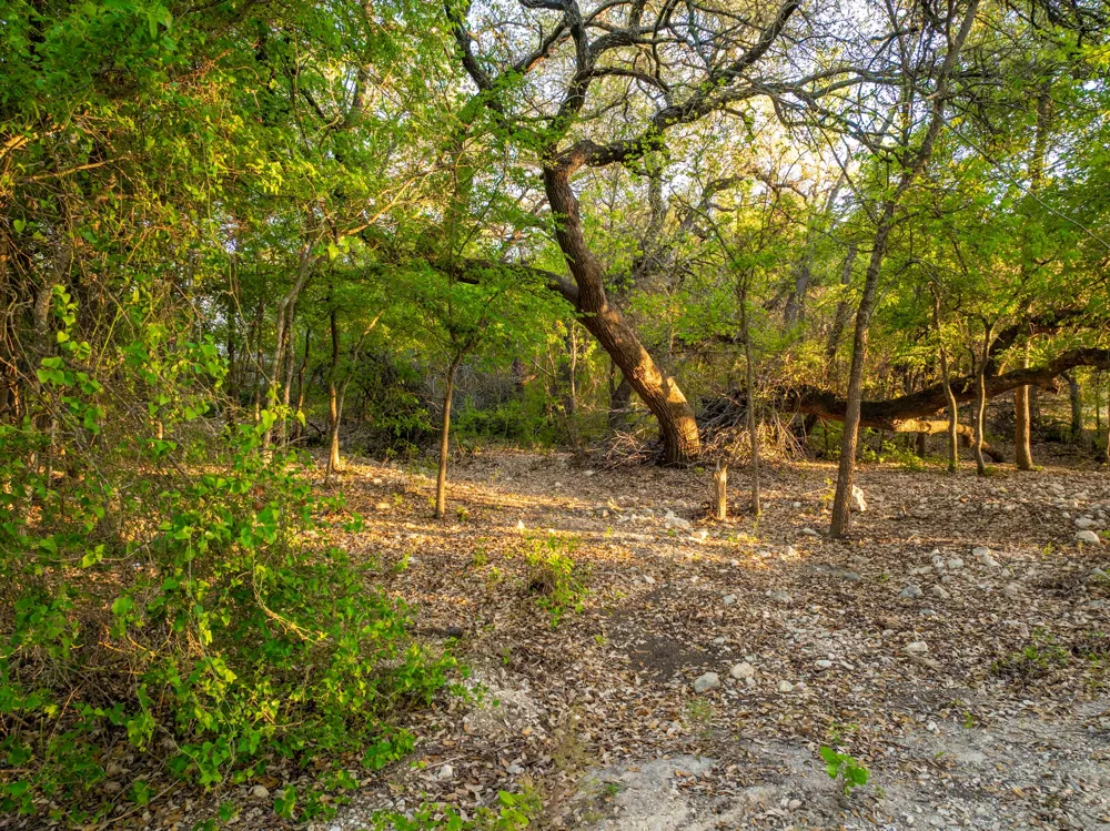 6234 S Fm 1174 Bertram, TX 78605