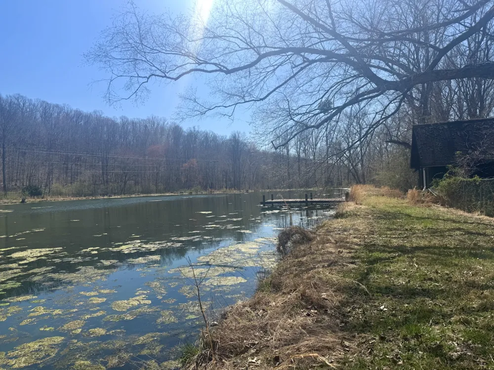 191 Forks River Rd Waverly, TN 37185