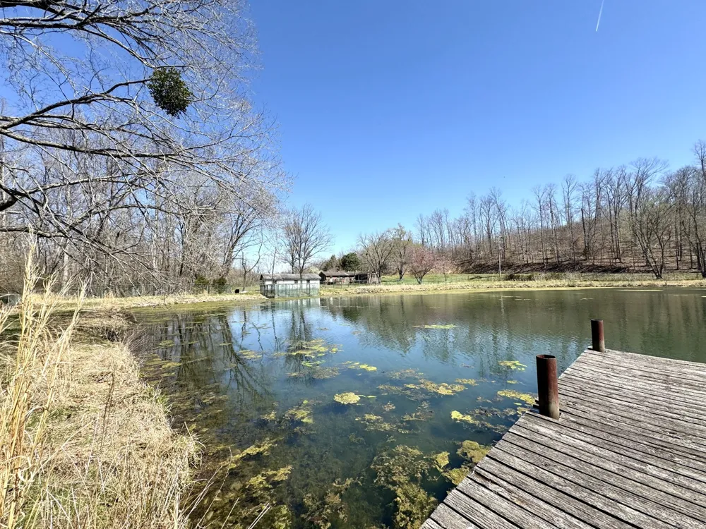 191 Forks River Rd Waverly, TN 37185