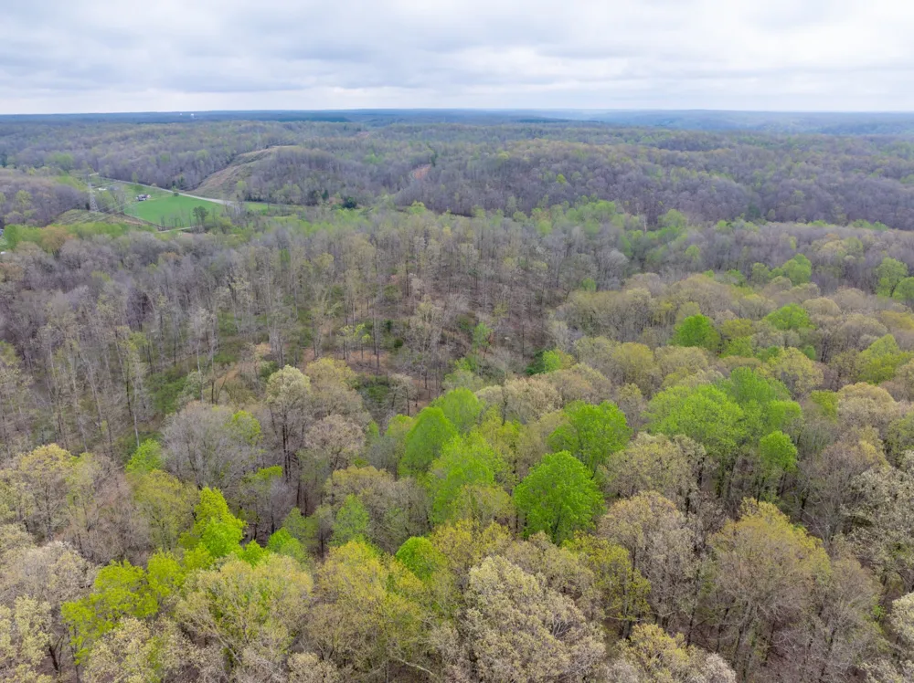 191 Forks River Rd Waverly, TN 37185