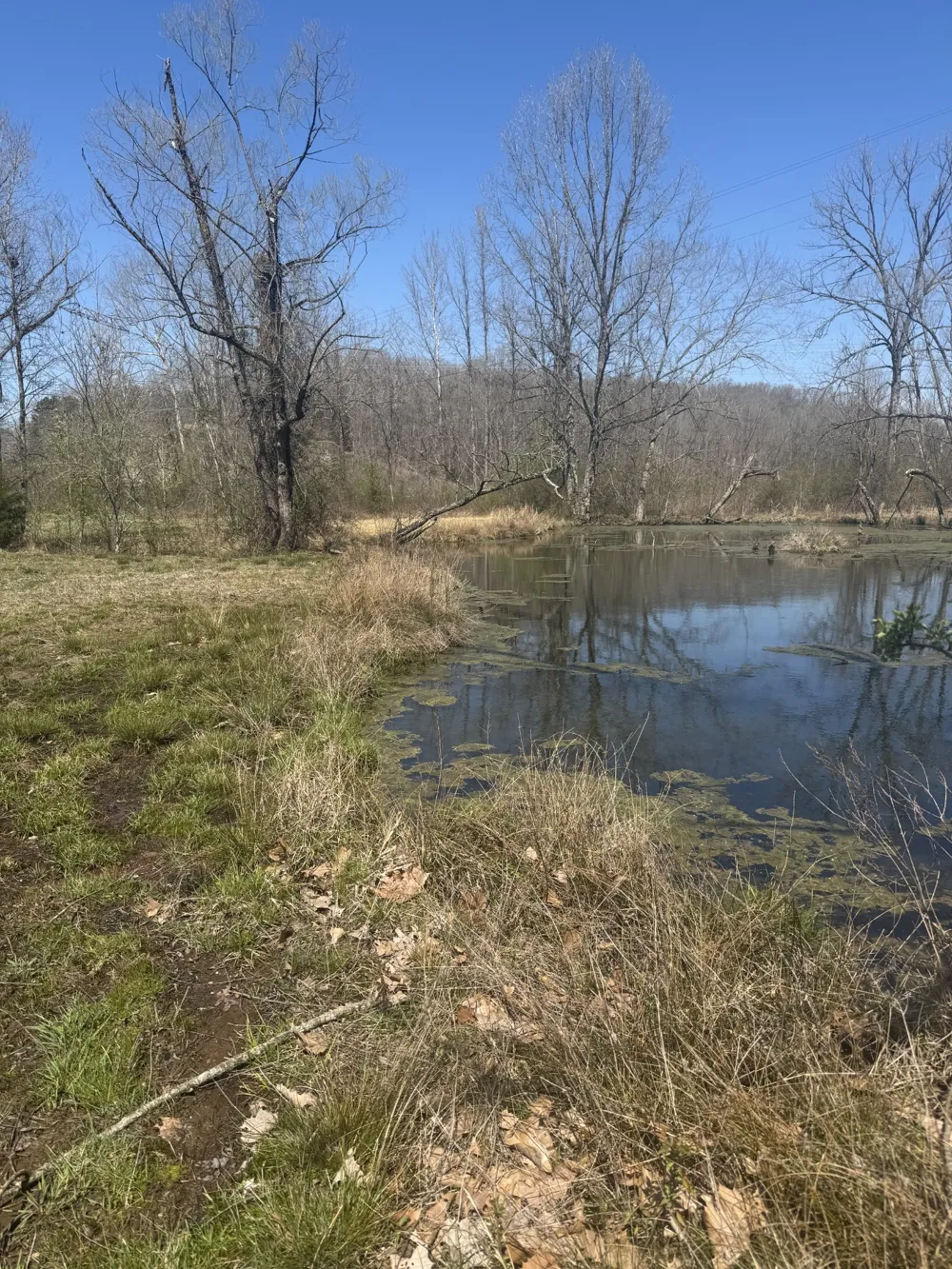 191 Forks River Rd Waverly, TN 37185
