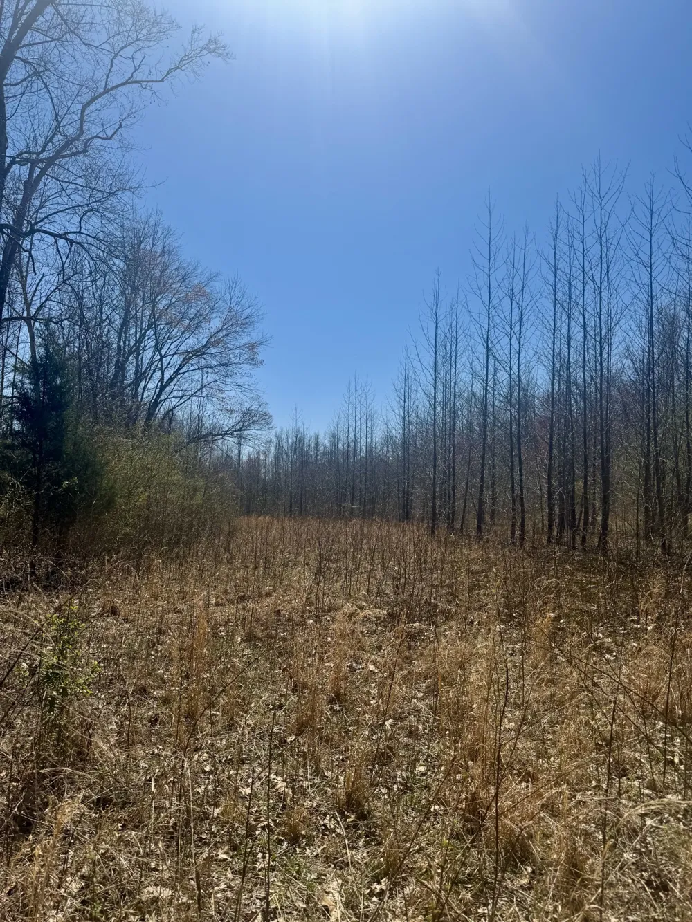 191 Forks River Rd Waverly, TN 37185