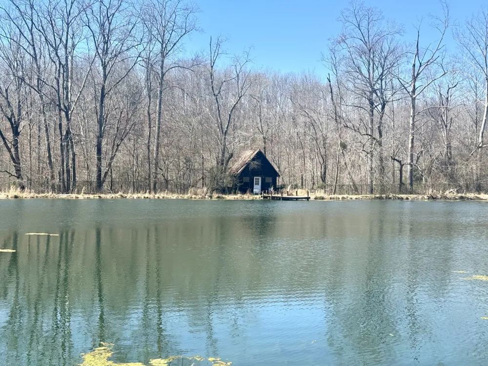 191 Forks River Rd Waverly, TN 37185