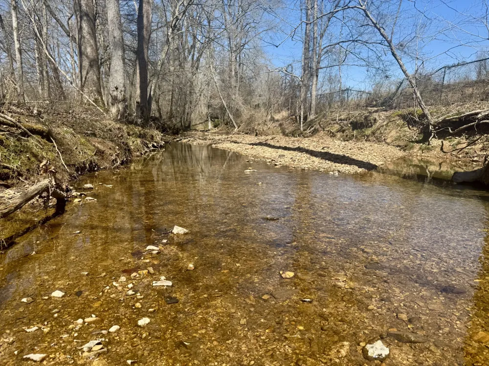 191 Forks River Rd Waverly, TN 37185