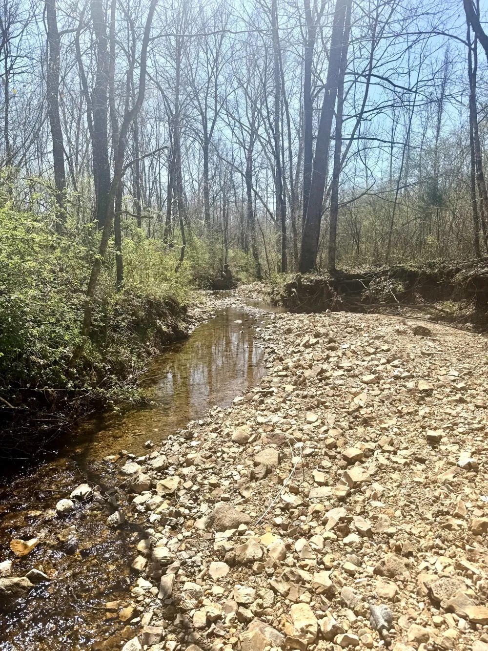 191 Forks River Rd Waverly, TN 37185