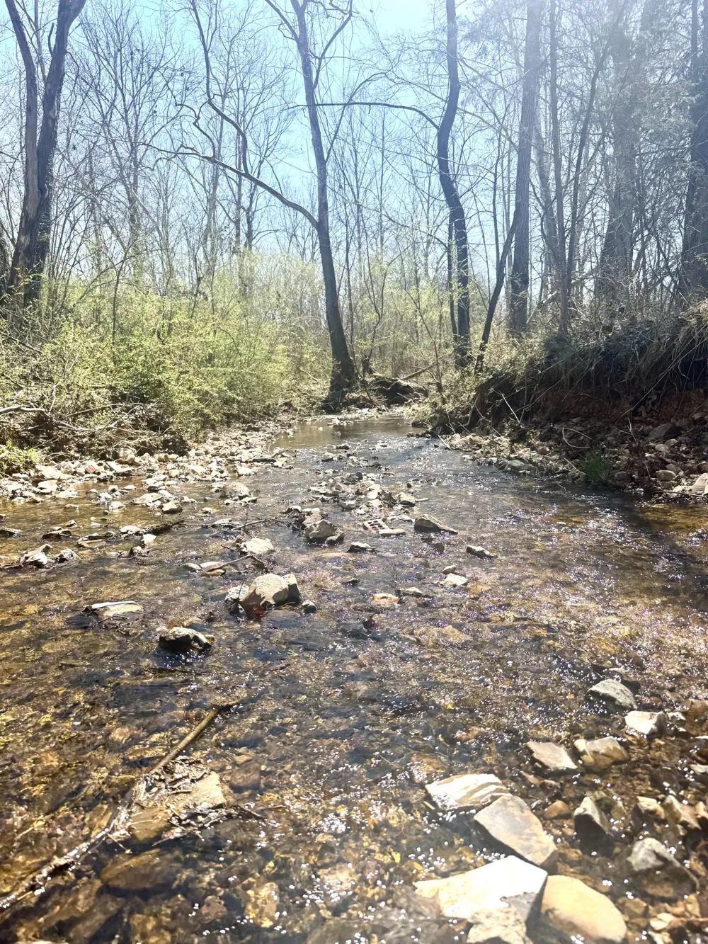 191 Forks River Rd Waverly, TN 37185